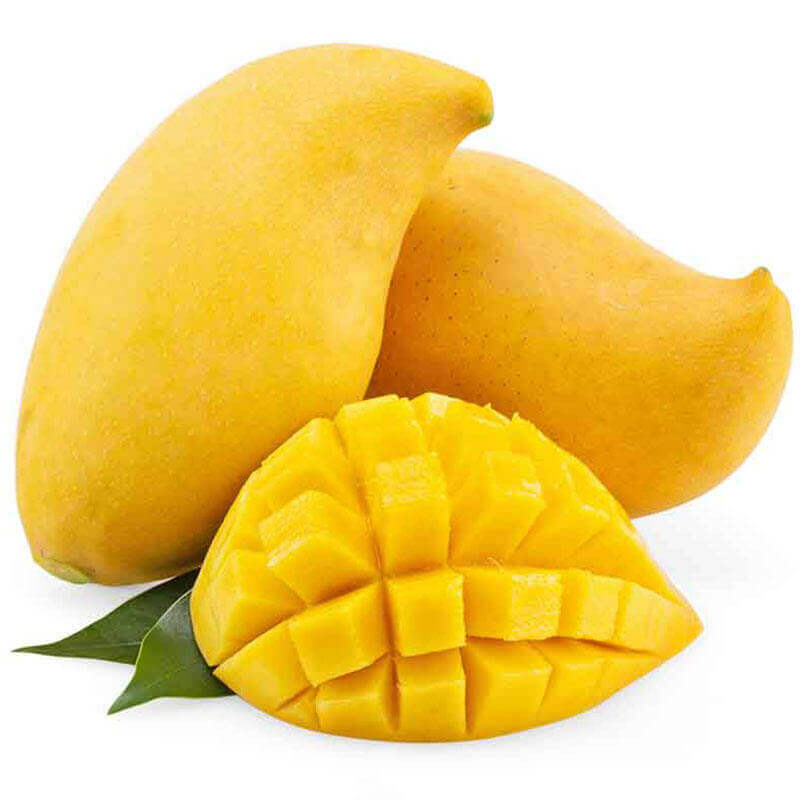 Mango Drying Process